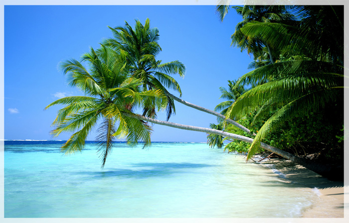 Hawaii, Nàng tiên kiều diễm bên bờ Thái Bình Dương