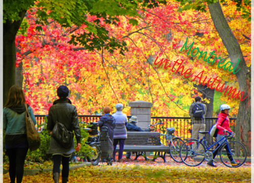 Lắng nghe bản tình ca mùa thu Canada