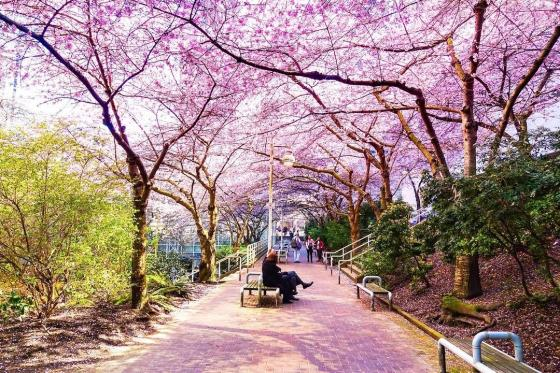 Tour du lịch Canada tết 2020 khám phá những điểm du lịch làm nao lòng du khách